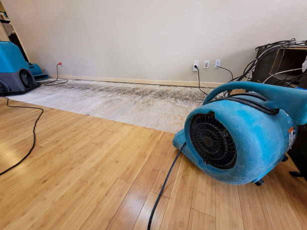 Professional Water Extraction technician working in La Mesa, CA